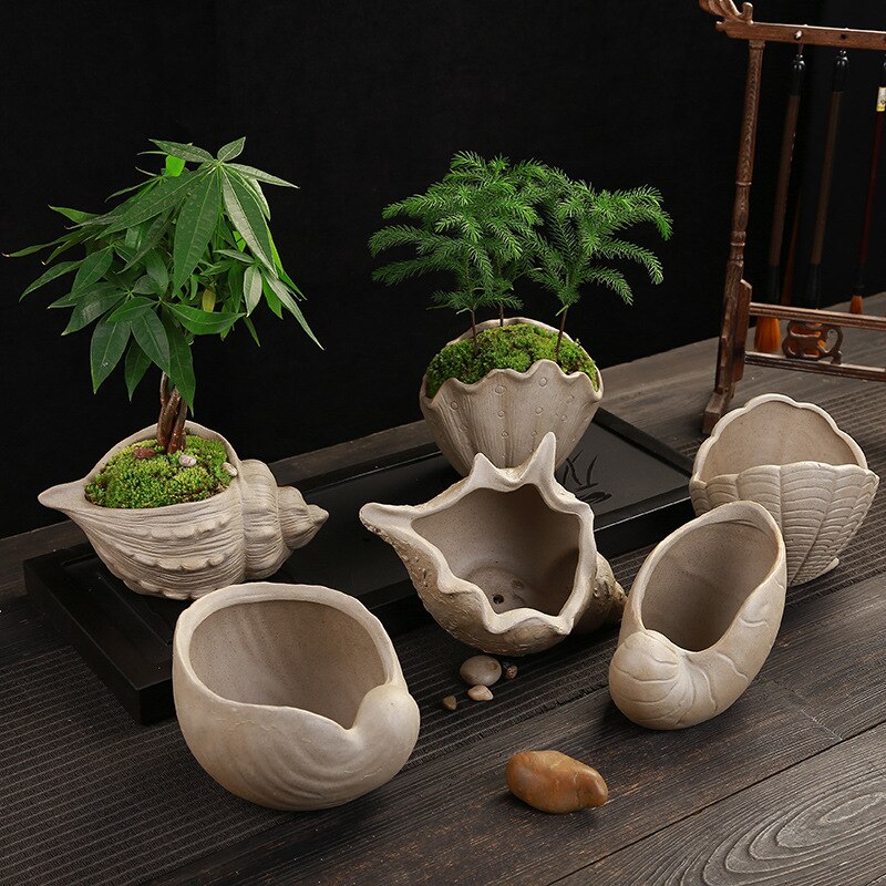 Coarse pottery flower pot shell Shape Ceramic Succulent Plant Pot Holder Fairy Garden Cactus Flower Pots Planter
