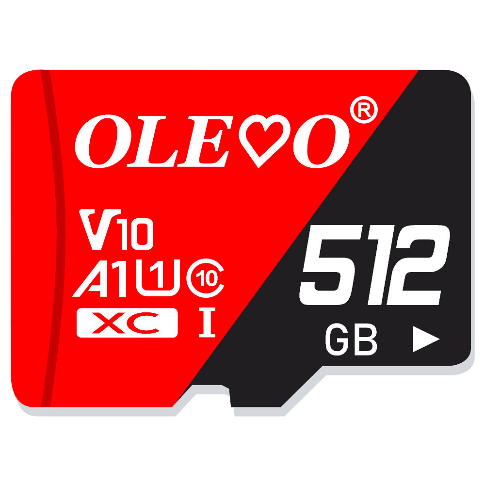 Memory Card 512GB Mini SD 256GB 128GB 64GB 32GB 16GB 8GB High Speed Flash TF SD Card 512 256 64 32 16 8 GB MicroTF SD Flash Card: 1 GB