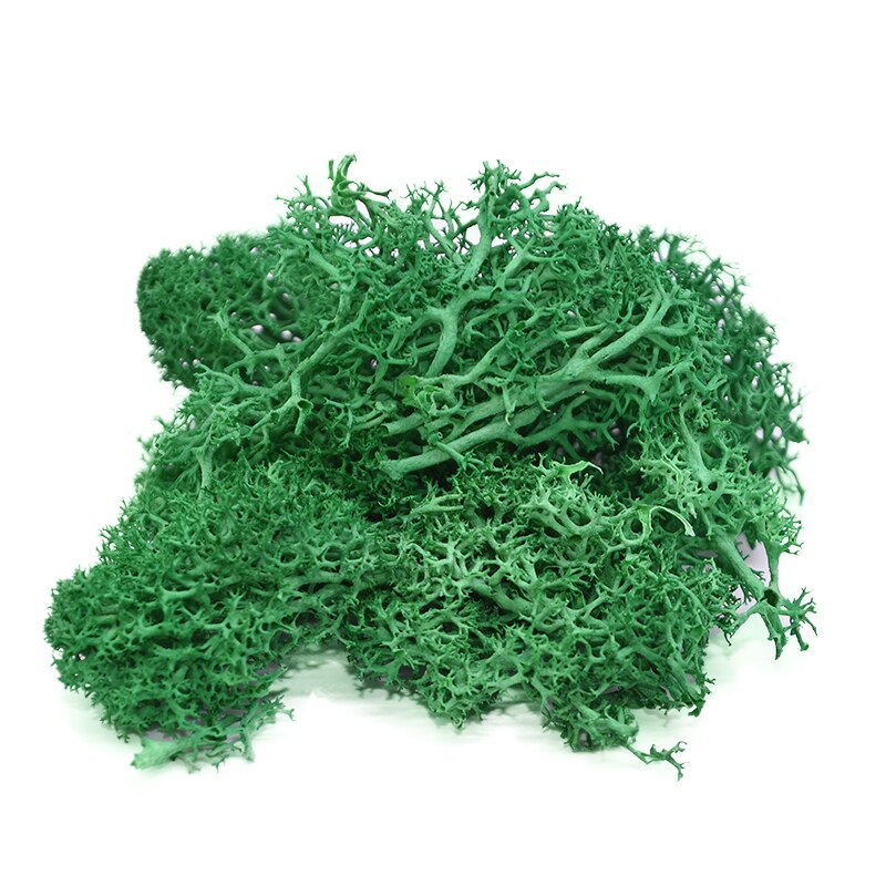 40g kunstig grønn plante mose diy bakgrunn vegg hage hjemmedekorasjon mini mikro landskap tilbehør: B09