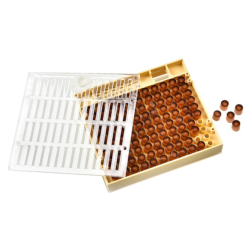 DLKKLB apicultura 1 piezas Nicot Abeja Reina cría sistema apicultura cultivar la reina sistema de caja de plástico de Nicot jaula herramientas Caja para Cultivar Abejas