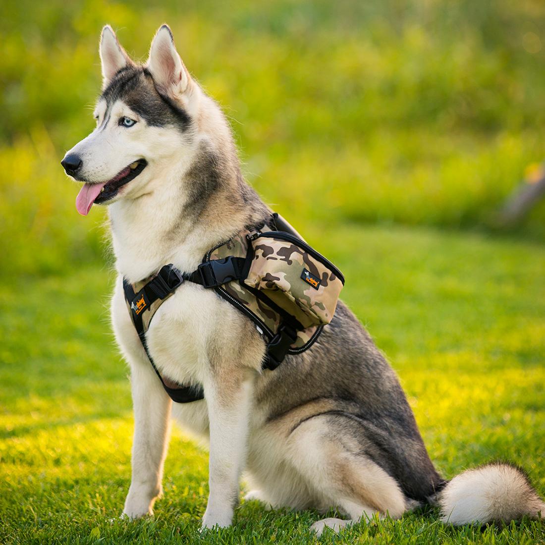 Haustier Hund Satteltaschen Pack hetzen Reise Camping Wandern Rucksack Sattel Tasche für Mittel groß Hunde: Grün / XL