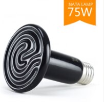 Pet Heating Light Bulb Infrared Black Ceramic Emitter Heat Lamp Bulb For Reptile Animals Heater Brooder ceramic heate: 75W