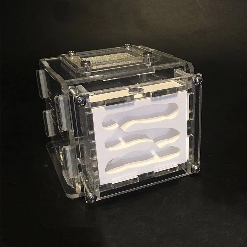 DIY Gypsum Ant Farm Plaster Ant Nest with Feeding Area Moisturize Ecological Ant House Workshop for Pet Anthill