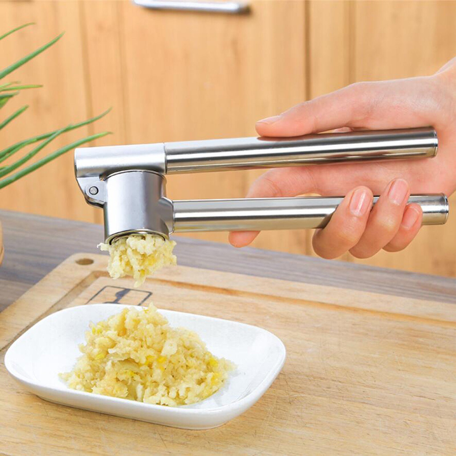 Roestvrij staal Knoflook Smash, Press Rocker Mincer/Crusher/Chopper met Dunschiller en Schraper Borstel
