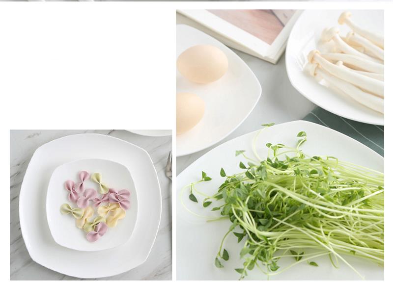 8 inch, fine bone china japanese plates and dishes, white porcelain square plates, rectangular plate, pottery dinnerware