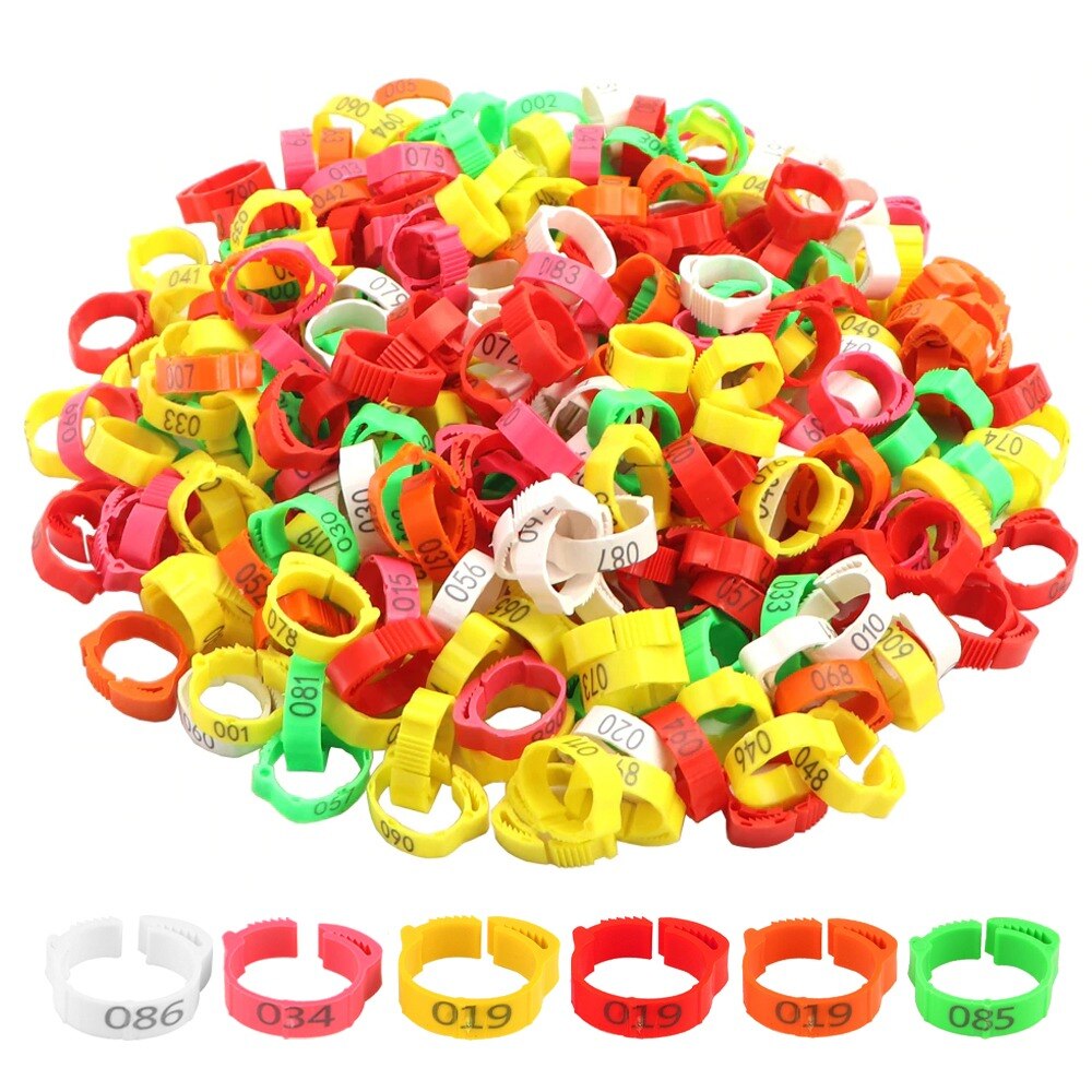 200 Uds patas de gallina anillo de tamaño ajustable aves de corral de la etiqueta Digital hebilla anillo 6 colores de plástico chica pato ganso granja equipo