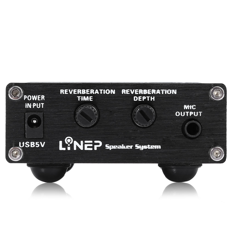 Lynepauaio, preamplificador de Micrófono de bobina móvil, micrófono de doble canal, adecuado con función de interruptor de reverberación