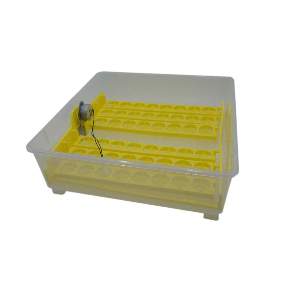 Incubatrice automatica per uova a 48 fori incubatrice digitale controllo della temperatura per pollo pollame Hatcher anatre uccelli d'oca