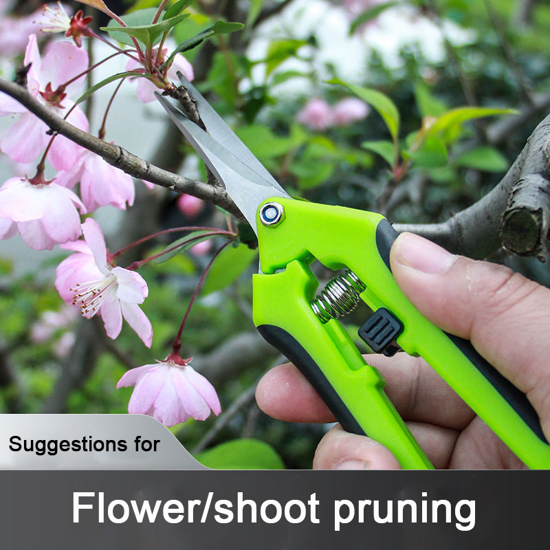 Multifunctional Garden Tools Orchard Garden Hand Tools Scissors Stainless Steel Labor-Saving Pruning Scissors: straight mouth