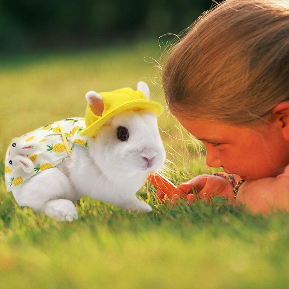 Cotton Adjustable Pet Bunny Clothes Rabbit Costume Outfit For Ferret Rabbit Bunny Hamster: M