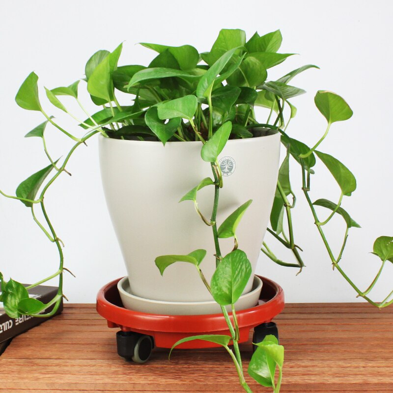 Removable plant stand flower pot tray with Universal wheel Heavy Duty Rolling Potted Rack indoor outdoor garden tool WJ603