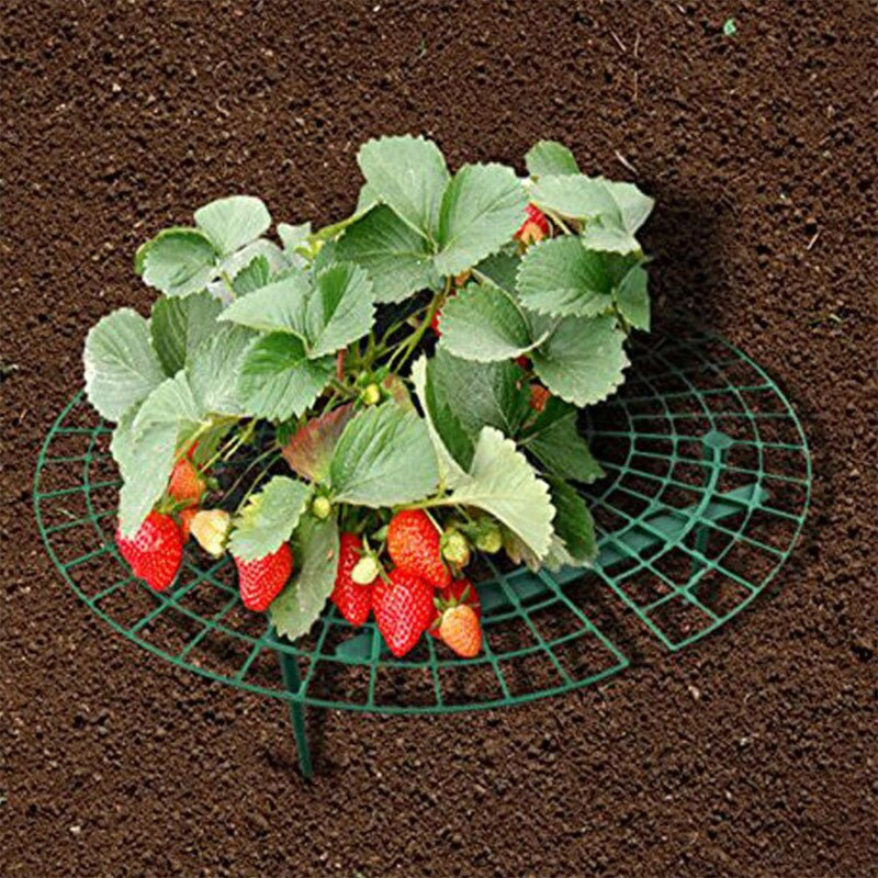 1 stk rund plast jordbær stativ balkon dyrke grøntsager frugt klatresøjle havearbejde beslag plante bure & amp; bakker op
