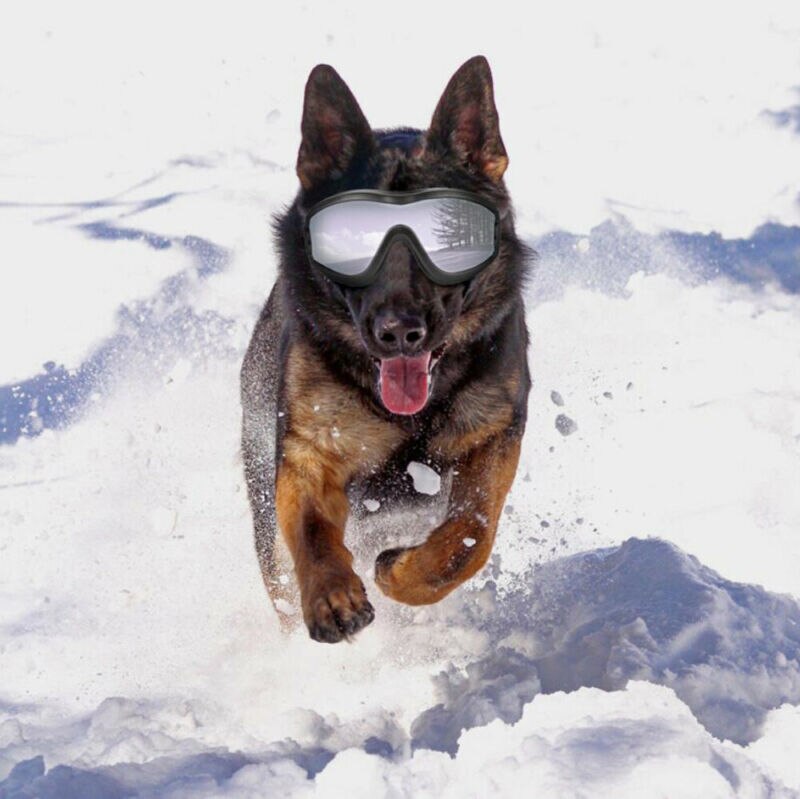Justerbare kæledyrs hundebriller solbriller anti-uv solbriller øjenbeskyttelse beskyttelse vandtæt solbriller kæledyrsforsyning: Default Title