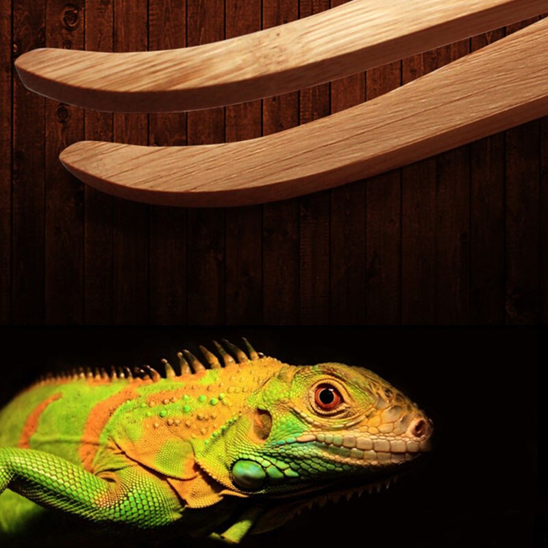 Pincettes coudées pour reptiles, Terrarium, outil d'alimentation en bambou 4X7B