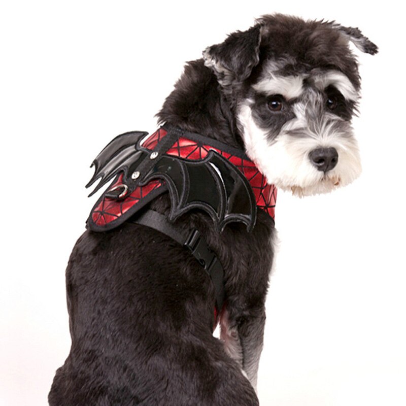 1 pièces Cosplay chiens harnais Pitbull Bulldog laisse chat de compagnie chien coffre avec aile Schnauzer chiot Chihuahua Bull Terrier fournitures pour animaux de compagnie
