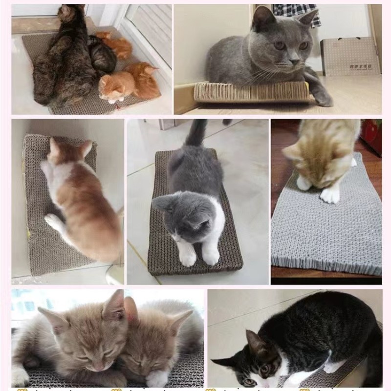 Huisdier Kat Krabben Golfkarton Slijpen Klauw Plaat + Catnip Papier Pad Klimframe Schraper Mat Kat Kartonnen Kat Speelgoed