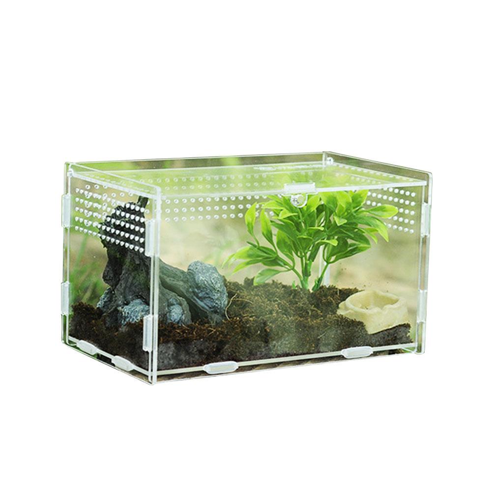 Mehrere Lüftungsschlitze Reptil Zucht Kasten Acryl transparent Reptil Panzer Insekten Spinnen Skorpione Gottesanbeterin Fütterung Kasten Terrarium Panzer: 20x12x12CM