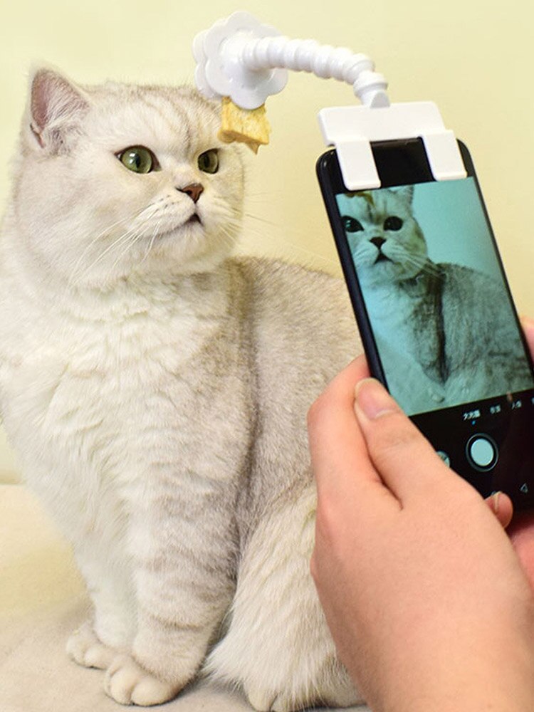 Cão de estimação gato selfie vara filhote de cachorro gatinho tirar foto clipe interativo fotografia ferramenta suprimentos para animais de estimação acessórios telefone clipe titular