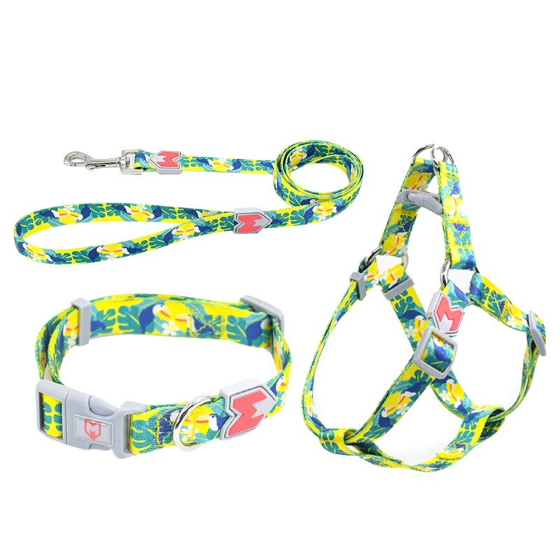 PetSafe 3-in-1 harnas en autobeveiliging, extra klein, pruim, geen trek, verstelbaar, training voor kleine/medium/grote honden