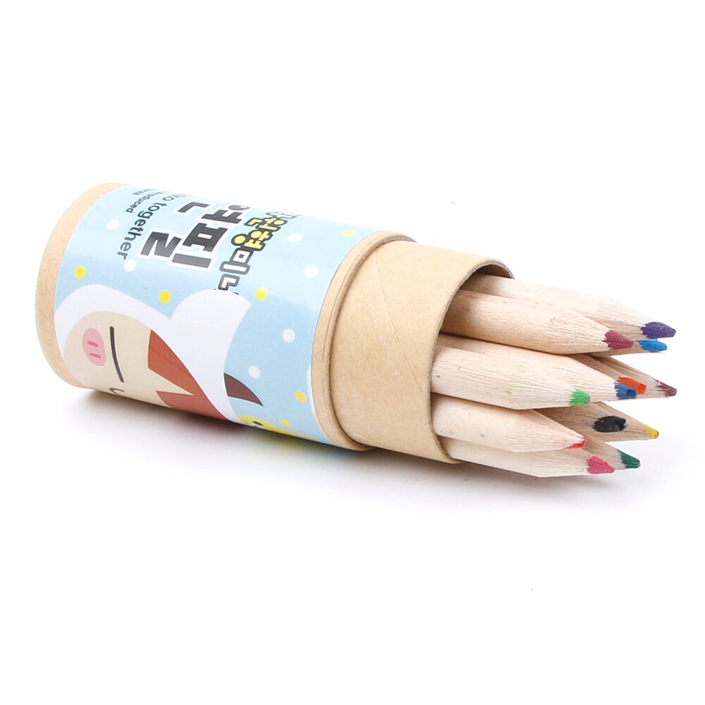 12 Colors Set Artist Fine Drawing Painting Sketching Writing Drawing Pencil Box Cases MIni Stationary