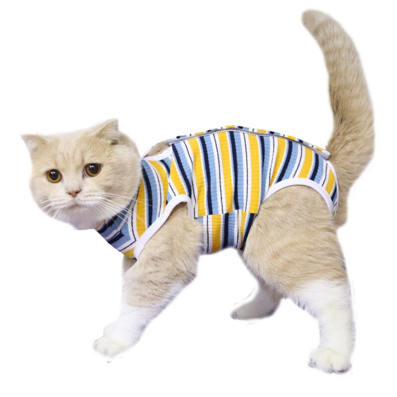coton chat stérilisation chirurgie vêtements sevrage vêtements respirant physiologique vêtements rayé vêtements pour animaux de compagnie médicament