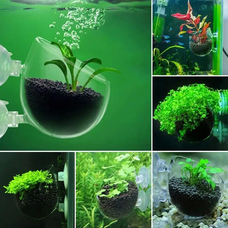 Pote de vidro para decoração de aquário, pote de água de bolinhas para berçário de plantas aquáticas, copo cilíndrico, acessórios para aquário