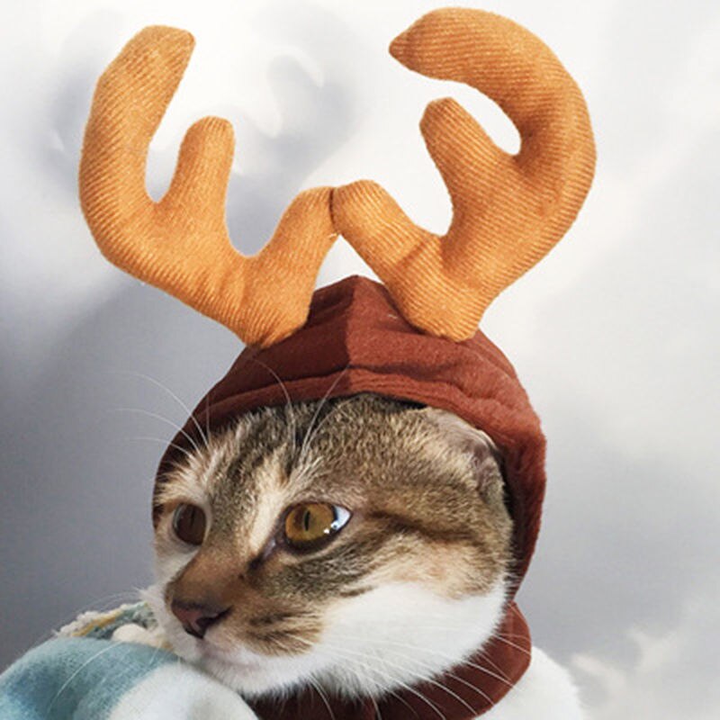 Grappige Kleding Voor Katten Leeuw Manen Kat Kostuum Leeuw Haar Pruik Cap Hond Kostuums Voor Kleine Honden Kerst Pet Halloween kostuums: Christmas elk caps