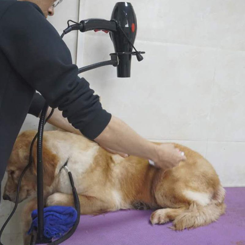Dual-use Pet Hair Dryer Bracket Telescopic Any Shape Fixation Frame Multipurpose Pet Grooming Accessories