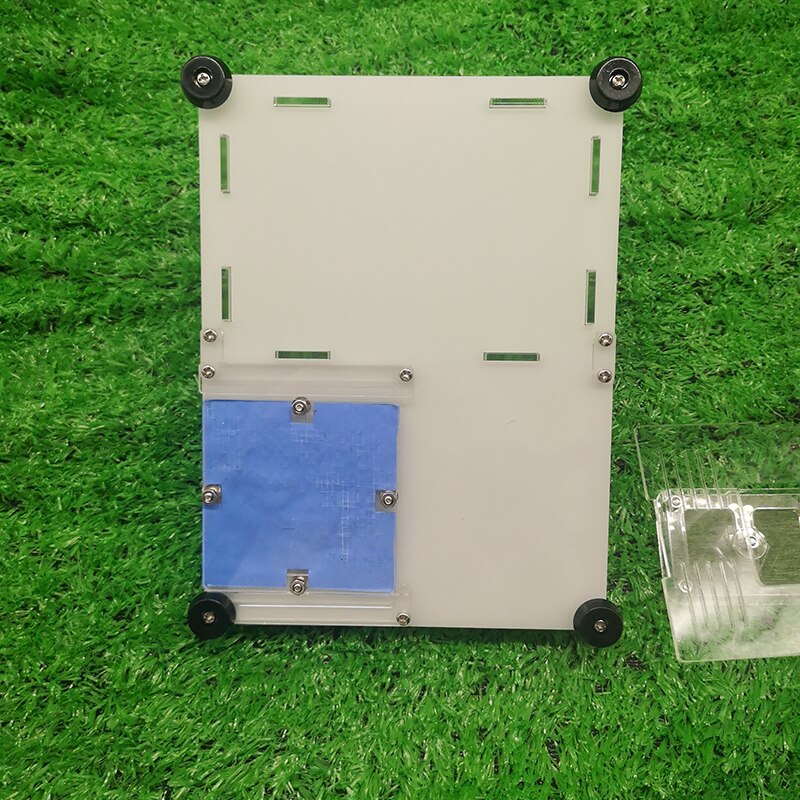 Czarne gniazdo mrówek mrówka o strukturze plastra miodu mrówka akrylowa mrówka mrówka mrówki mrówki mrówki