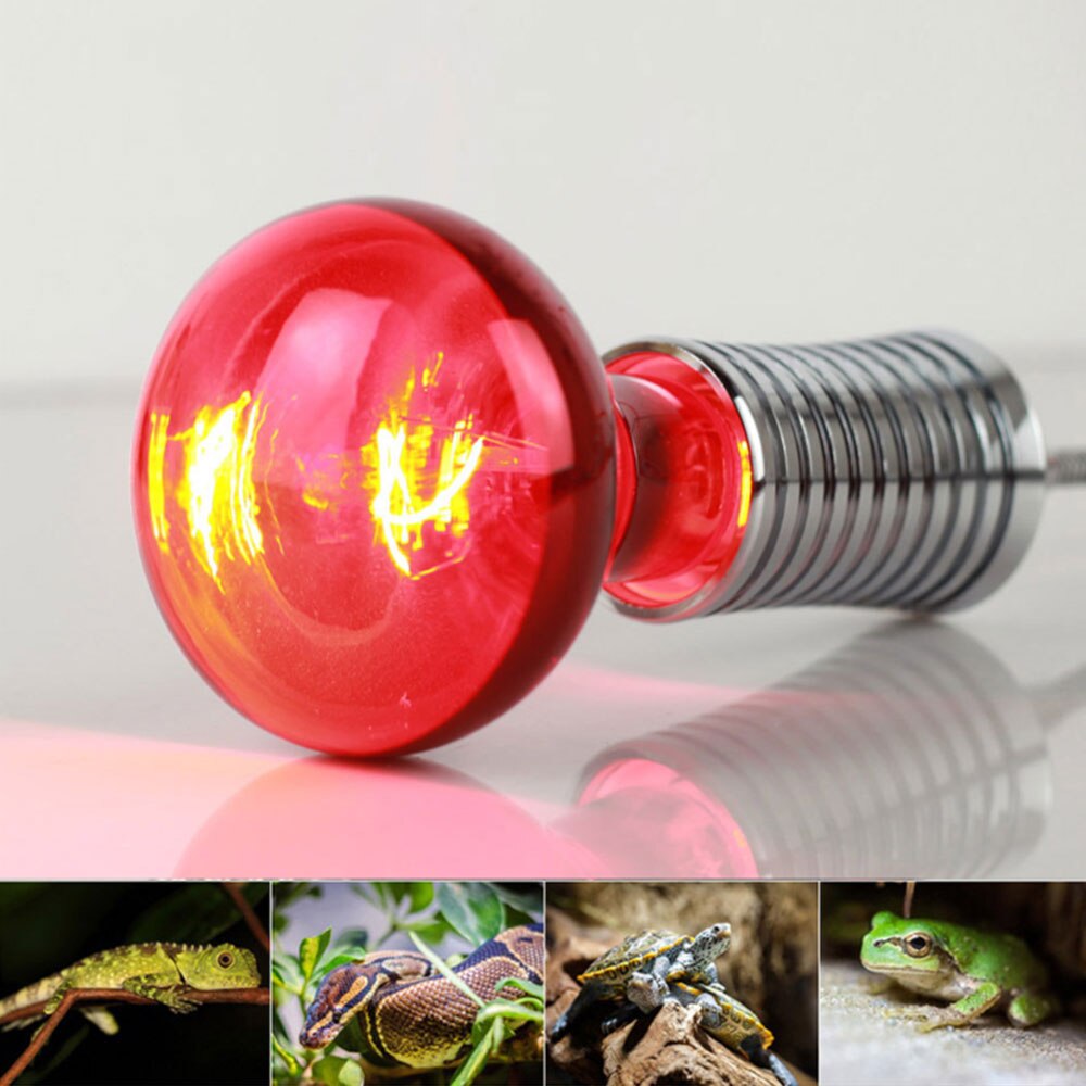 E27 100W kızılötesi Basking Spot ısı lambası Bulb kırmızı ışık ısı ampulleri Pet kertenkele yılan sürüngenler