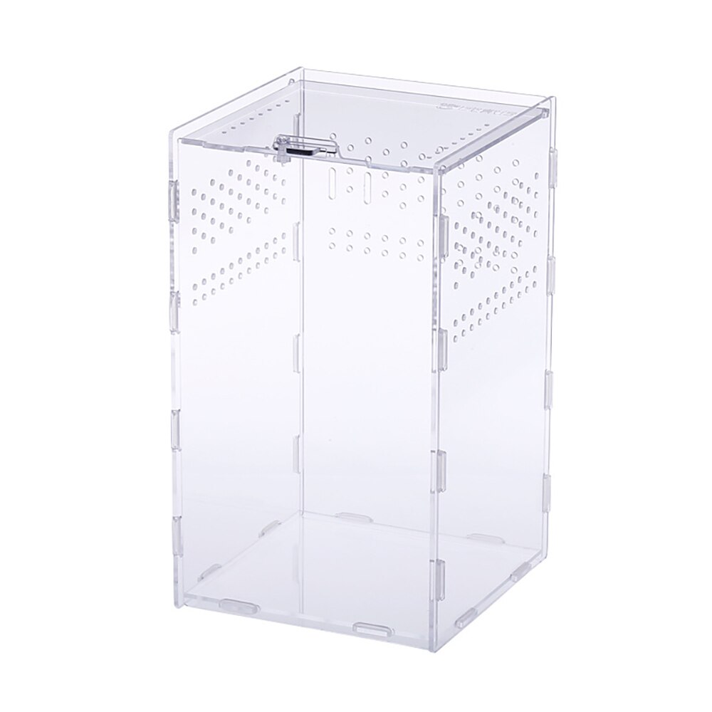 Terrario de insectos para araña, lagarto, cuerno de escorpión, terrario para reptiles acrílico, caja de cría de mascotas transparente: Marrón oscuro
