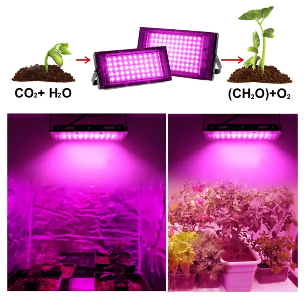 LED-Pflanzenlampe Vollspektrum-Phyto-Lampe AC 220V 50W 100W 200W 300W für Gewächshaus-Hydrokultur-Pflanzenwachstumsbeleuchtung mit EU-Stecker