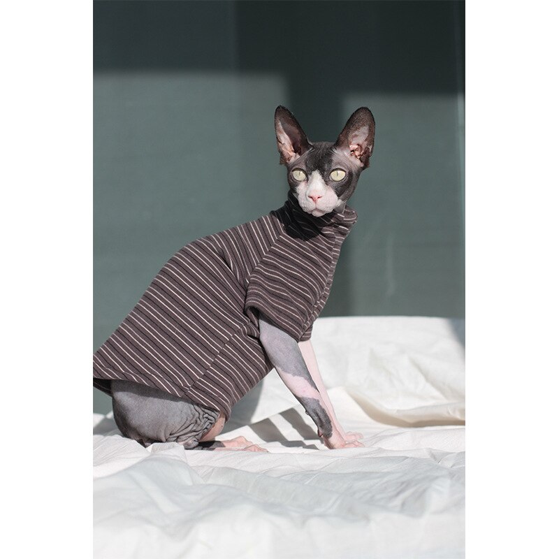 Pet clothes Sphinx hairless cat dog spring velvet warm stretch bottom coat clothes for cats puppy clothes: gray / XL