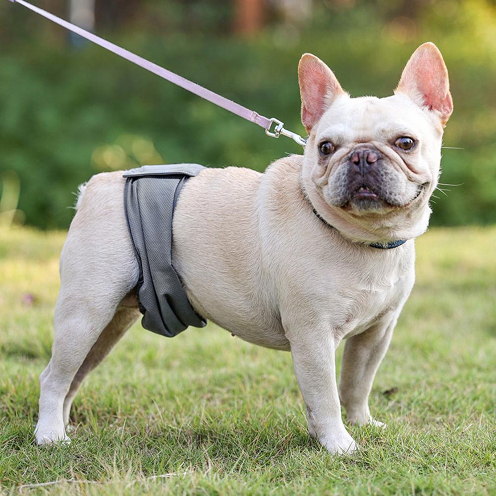 Dogs Diapers Anti-Harassment Fastener Tape Pet Diapers Pants Solid Color Dogs Diapers Wraps for Home Use Puppy Pants
