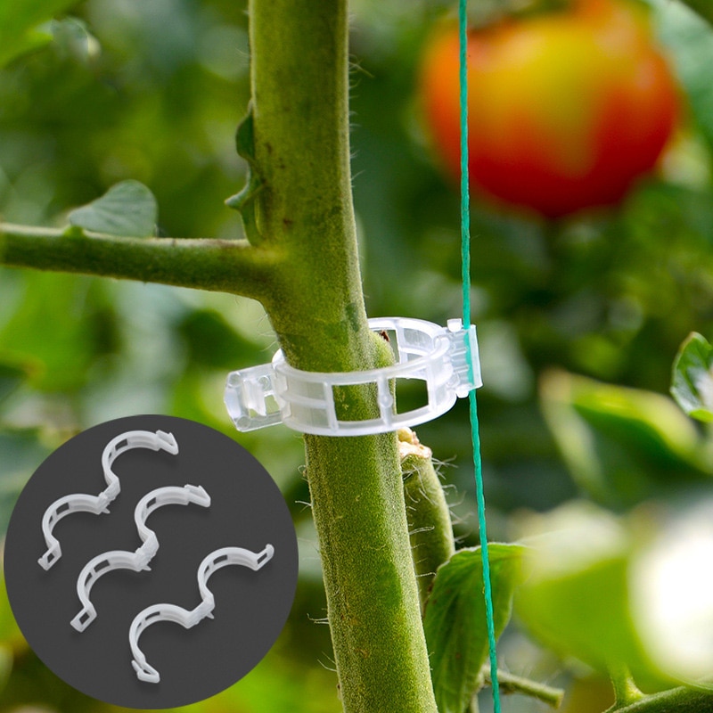 50/100/200 stk 25mm 32mm grøntsager tomater klip plast plante støtte klip klemmer til planter hængende vin have drivhus
