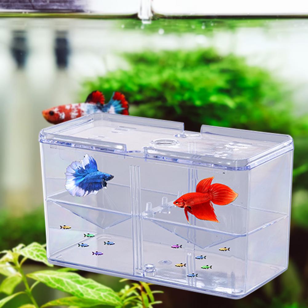 Fish Isolation Box Safe Aquarium Breeding Tank Isolation Box Home Use Fish Hatching Box