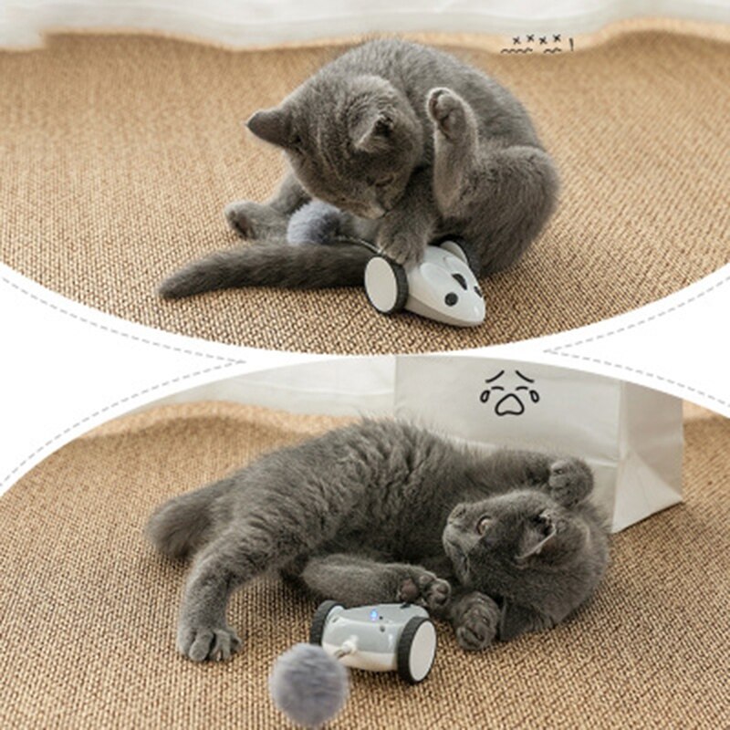 Cat Electric Mouse Racer Automatic Irregular Moving 360 degree Rotation Interactive App Control USB Charging Pet Toys