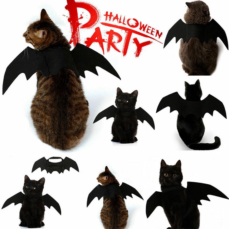 Disfraz de Halloween para gato negro, alas de murciélago, Cosplay, Disfraces para mascotas para gatos, perros y gatos pequeños, accesorios para vestir