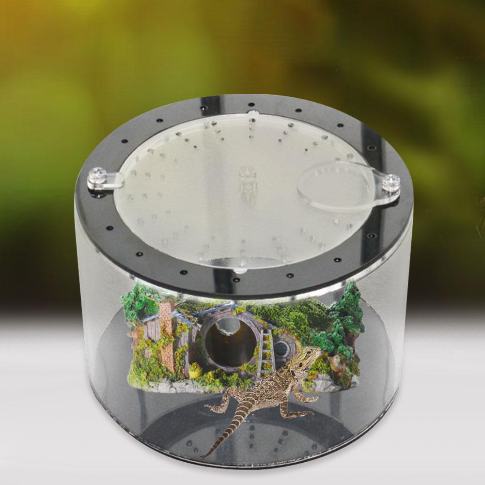 Acrylic Reptile Feeding Box Full View Insect Box Praying Lizard Reptile Home Insect Cage Reptile Terrarium Spider Breeding Box