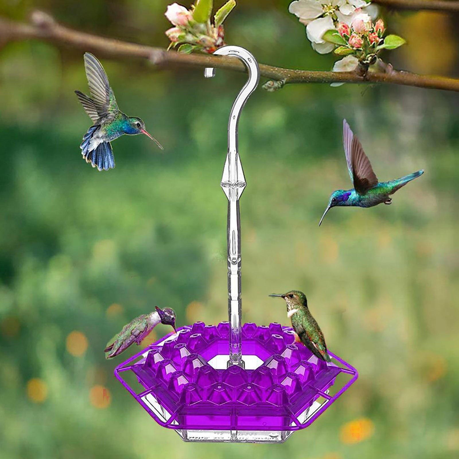 Mangeoires d'extérieur pour colibris, 30 Ports d'alimentation, fenêtre suspendue, mangeoire pour oiseaux sauvages, pour jardin extérieur, décoration de cour, tôlerie intégrée