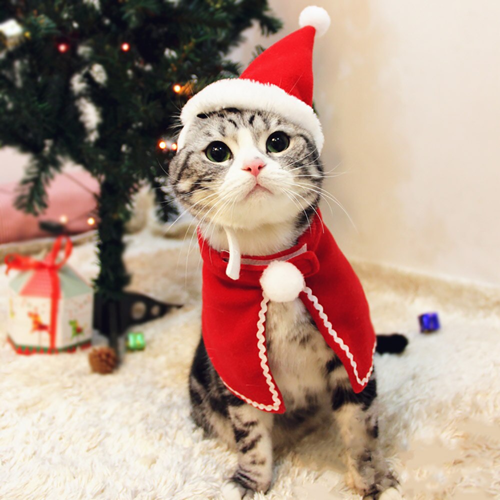 Cape de noël pour chats | Rouge, Costume de noël pour chiens, accessoires de chat, petite cape pour chatons, Halloween chien, Costume d'animaux domestiques, fournitures S M L