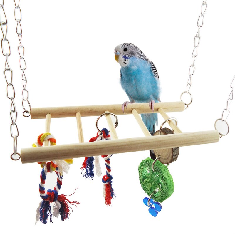 Kæledyr fugl papegøje parakit cockatiel bur hamster hængekøje sving hængende legetøj  n1ha