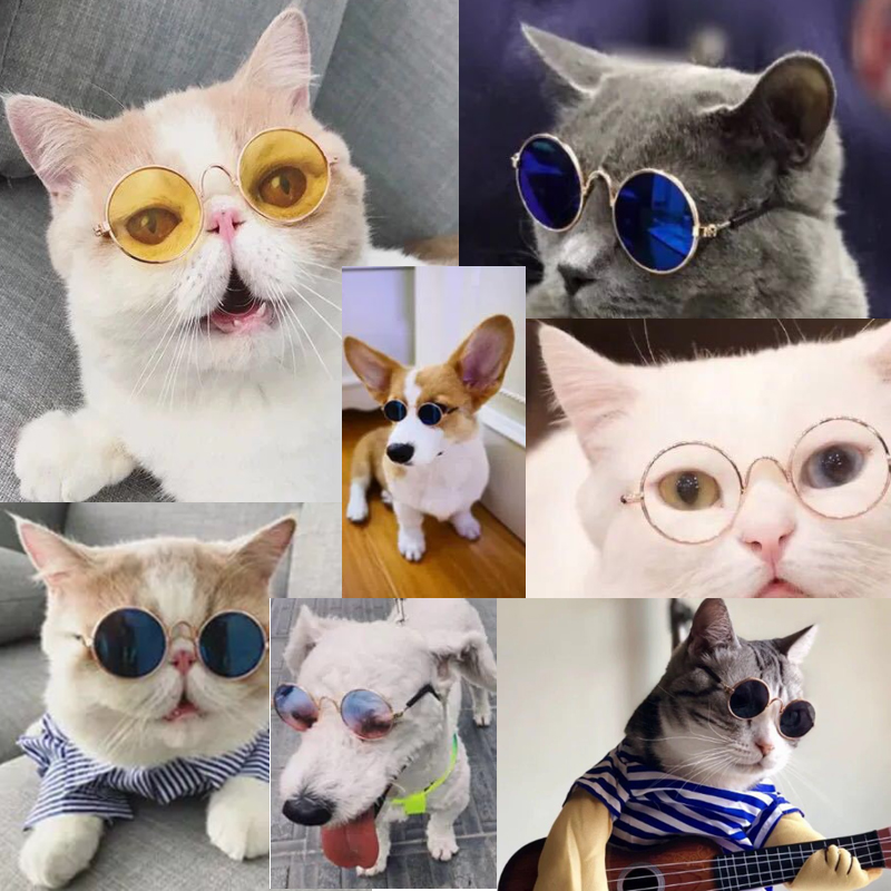 Gafas de sol redondas Estilo Vintage para gato, lentes reflectantes para perros pequeños, accesorios para mascotas, productos para mascotas