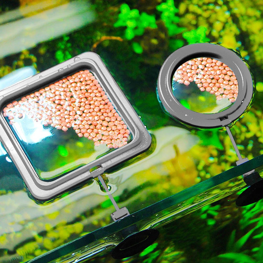 Floating Food Tray Feeder Square Circle Accessory Fish Food Feeder Suction Cup black Aquarium Feeding Ring Fish Tank Station