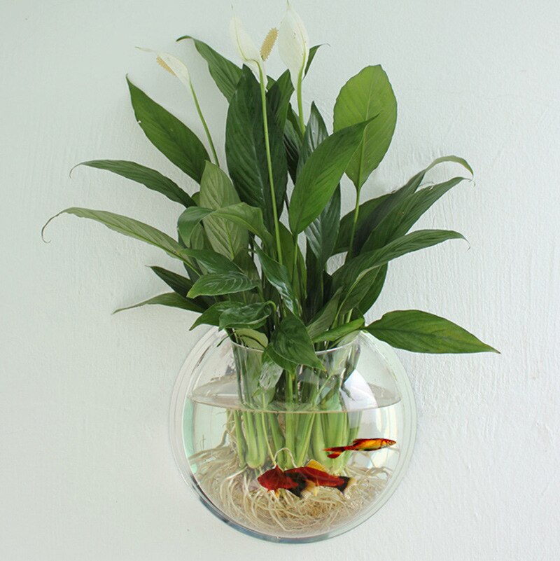 4 Size for Acrylic Fish Bowl Wall Hanging Aquarium Tank Aquatic Pet Supplies Pet Products Wall Mount Fish Tank for Betta Fish