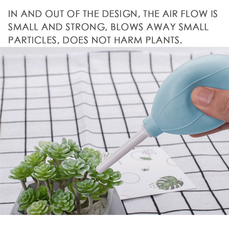 1 Juego de Mini herramientas de trasplante suculentas combinación de envases de flores suministros de jardinería herramienta de carne en maceta herramientas de mano de jardín