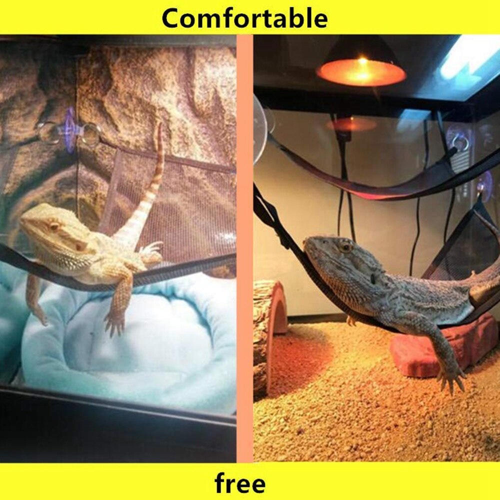 Reptile Hammock Lounger Ladder Accessories Set For Large Small Bearded Dragons Anole Geckos Lizards Or Snakesi