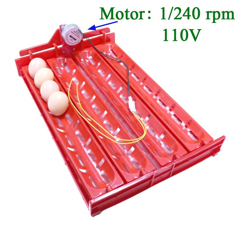 Accesorios para incubadora de huevos, bandeja para colocar huevos, pato, Ganso, aves de corral, Motor de 110V/220V/DC12V, novedad, 32-40 juegos, 1 Juego: 1I240rpm 110V