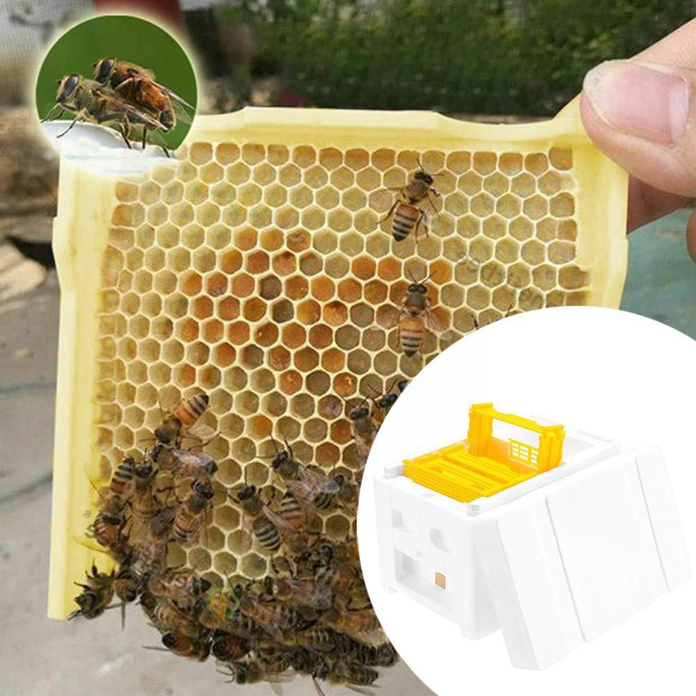 Beekeeping King Box Pollination Box Foam Frames Beekeeping Equipment Kit Harvest Bee Hive Box For Garden Pollinator Beekeep Q2p1