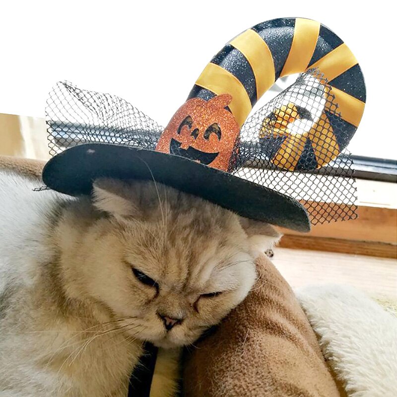 Carino Halloween Cappello Animale Domestico Del Gatto Del Partito Copricapo Costume Dress Up Con Cinturino Regolabile Accessori Cosplay